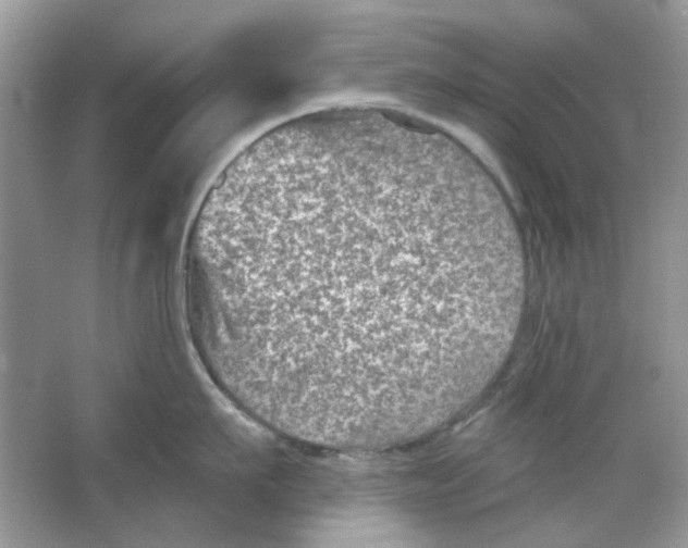 X0000065970911200603241910