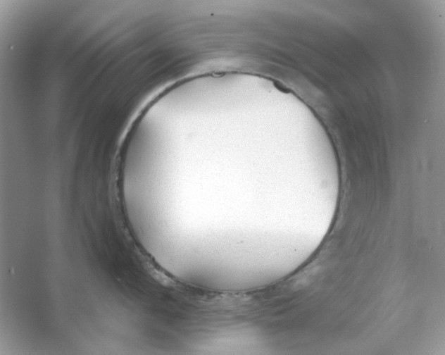 X0000065970912200603241910