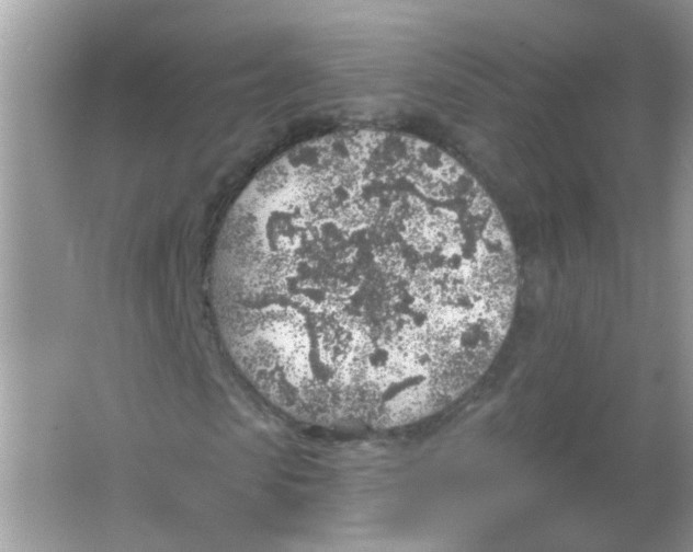 X0000065970913200603241909