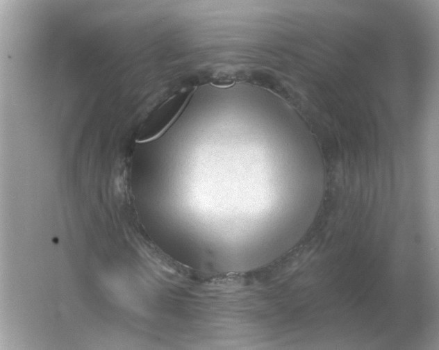 X0000065970914200603241909