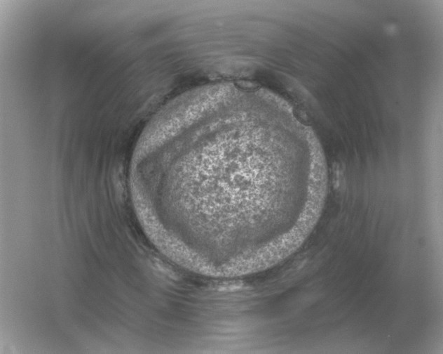 X0000065970915200603241909