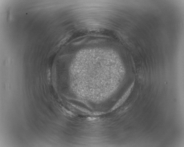 X0000065970916200603241909