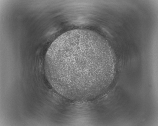 X0000065970917200603241909