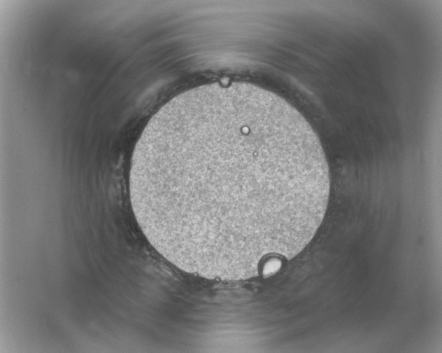 X0000065970918200603241909