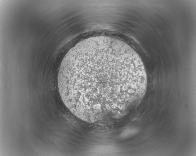 X0000065970919200603241909