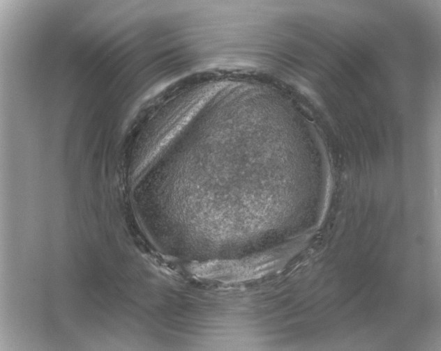 X0000065970920200603241909