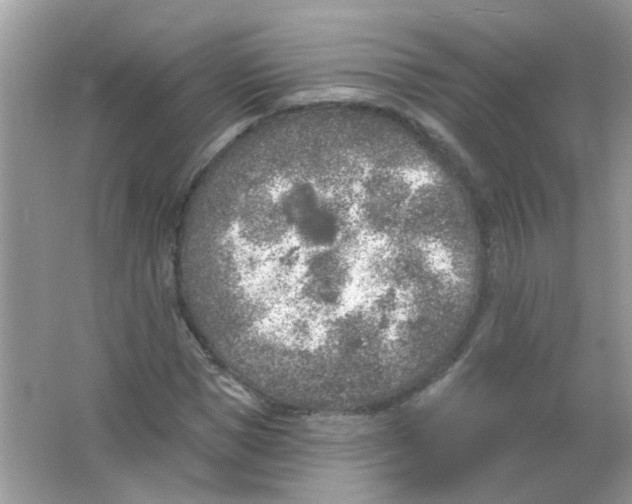 X0000065970921200603241909