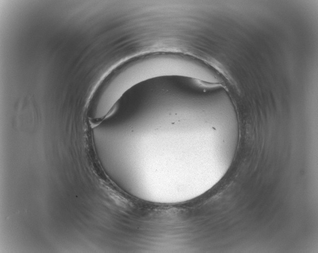 X0000065970926200603241909