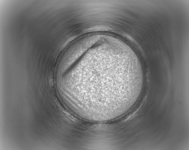 X0000065970929200603241909