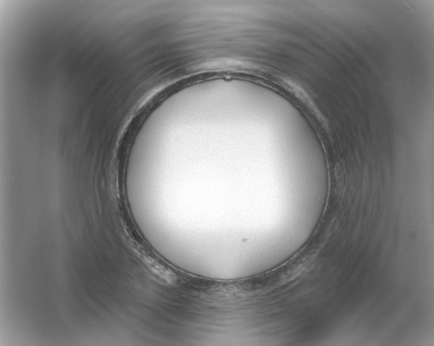 X0000065970931200603241909