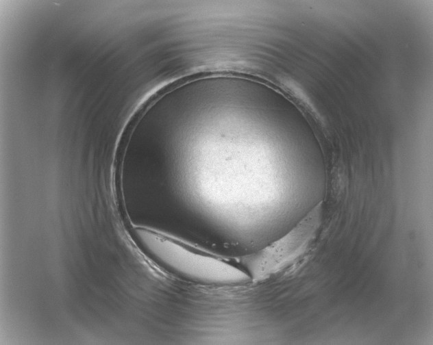 X0000065970932200603241909