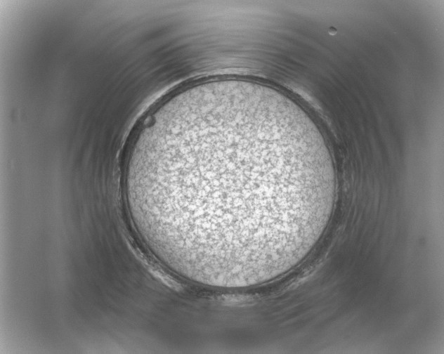 X0000065970933200603241909