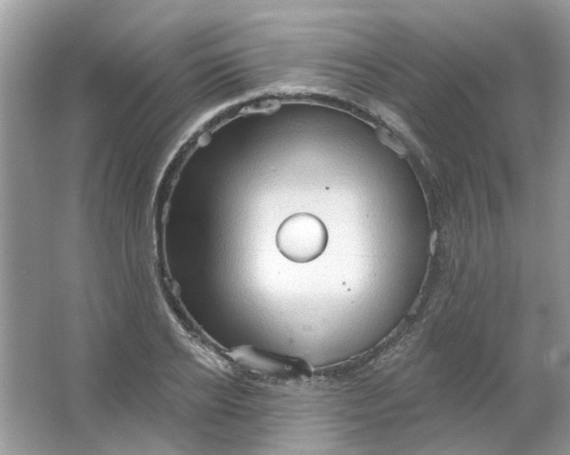 X0000065970934200603241909