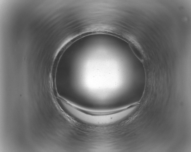 X0000065970936200603241909