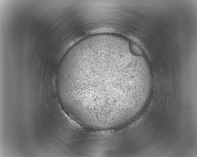 X0000065970937200603241909