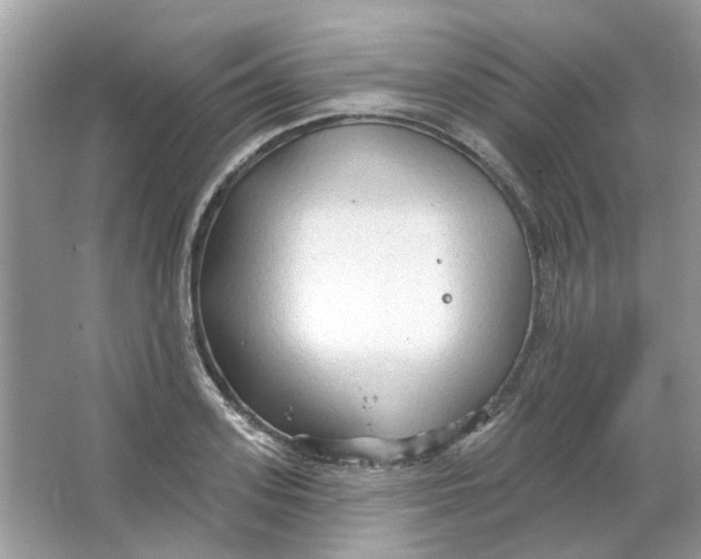 X0000065970939200603241909