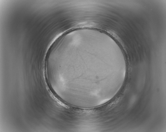 X0000065970941200603241909