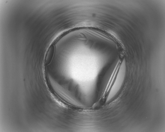 X0000065970942200603241909