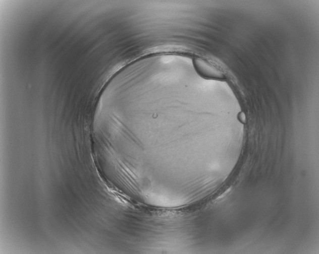 X0000065970945200603241909