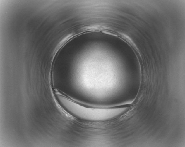 X0000065970946200603241909