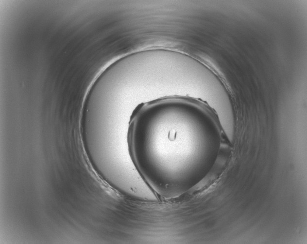 X0000065970948200603241909