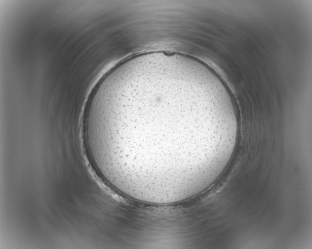 X0000065970949200603241910