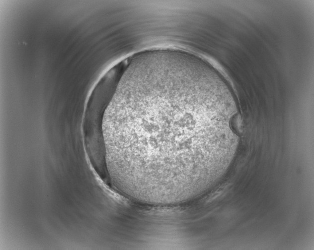 X0000065970951200603241910