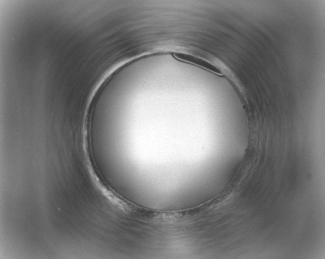 X0000065970955200603241910