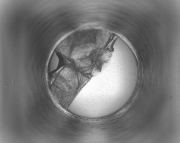 X0000065970957200603241910