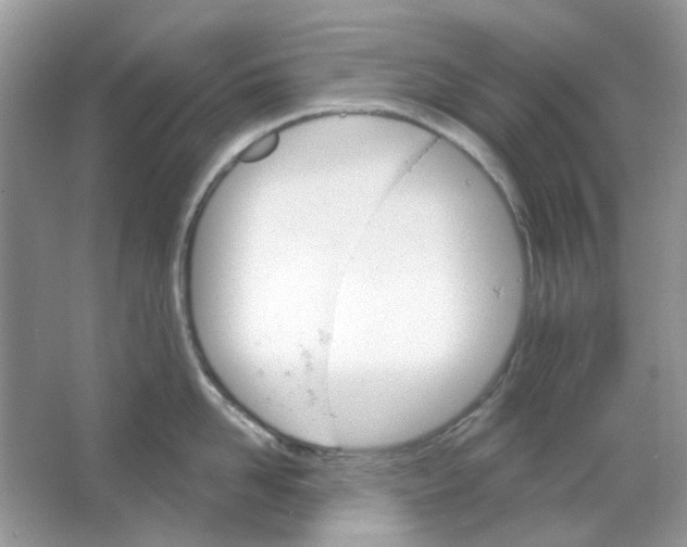 X0000065970958200603241910