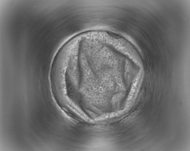 X0000065970959200603241910