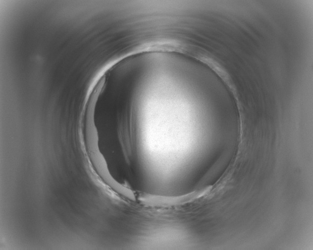 X0000065970960200603241910