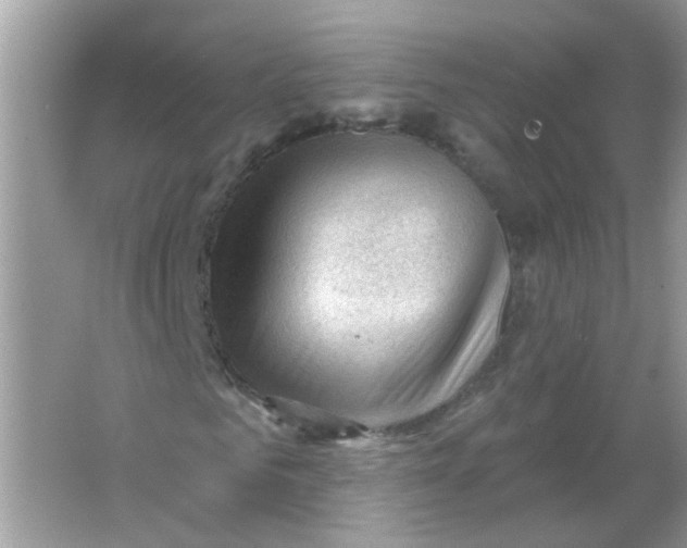 X0000065970961200603241909