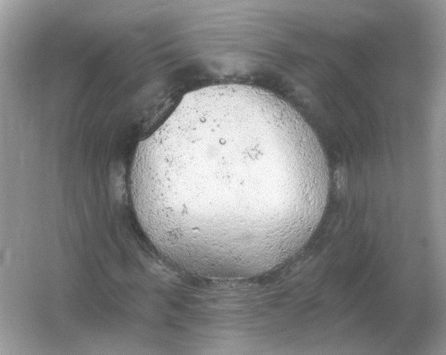 X0000065970963200603241909