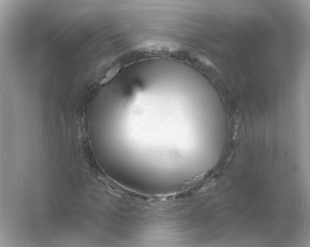 X0000065970965200603241909