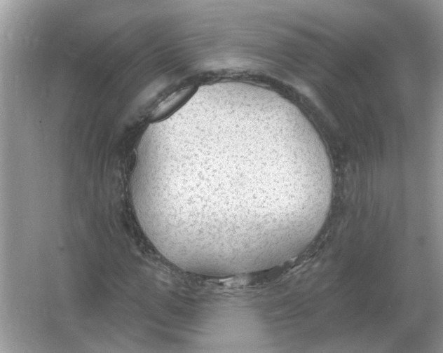 X0000065970967200603241909