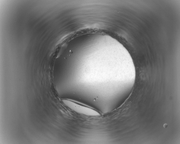 X0000065970968200603241909