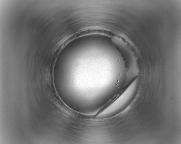 X0000065970969200603241909