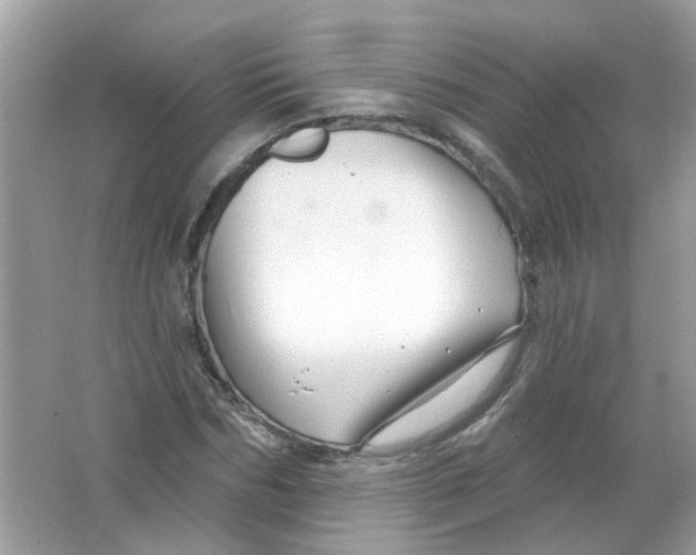 X0000065970970200603241909