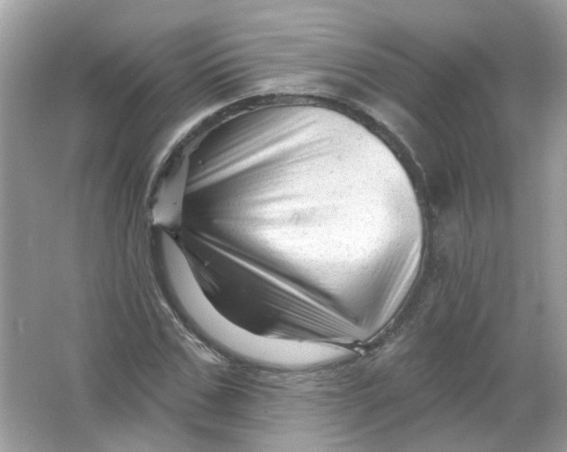 X0000065970971200603241909