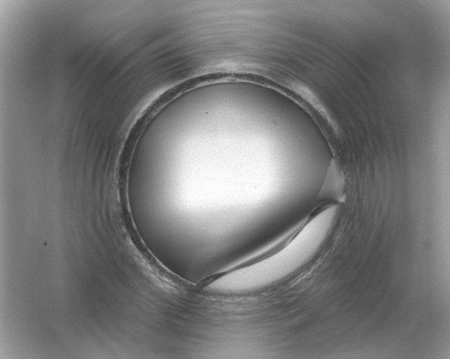 X0000065970972200603241909