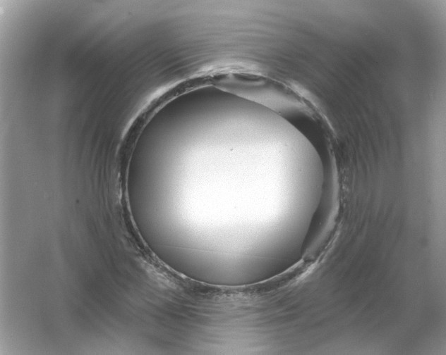 X0000065970973200603241909