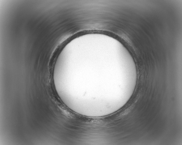 X0000065970974200603241909