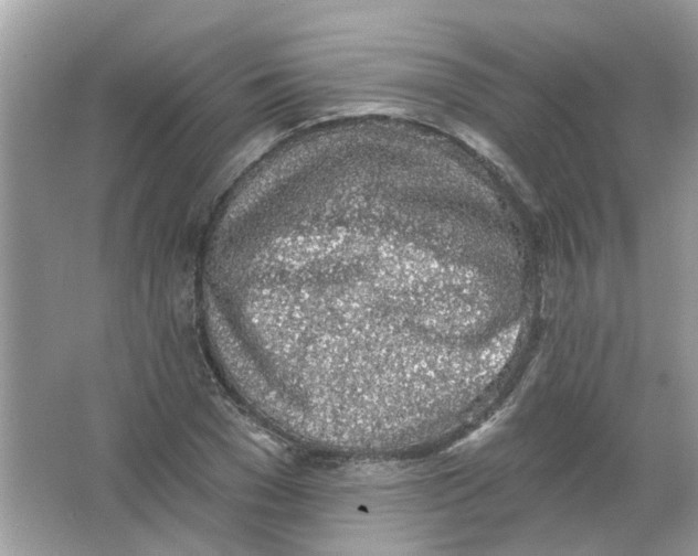 X0000065970977200603241909