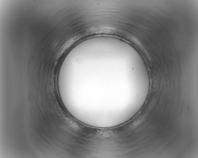 X0000065970978200603241909