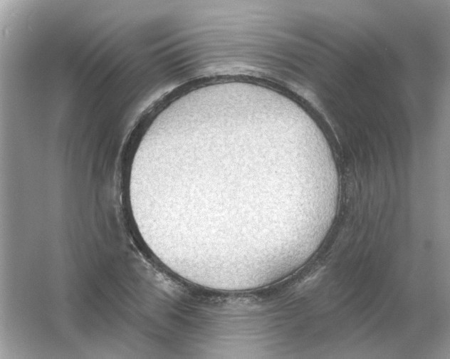 X0000065970979200603241909