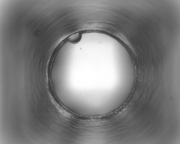 X0000065970980200603241909