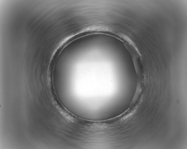 X0000065970981200603241909