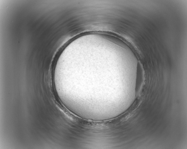 X0000065970982200603241909