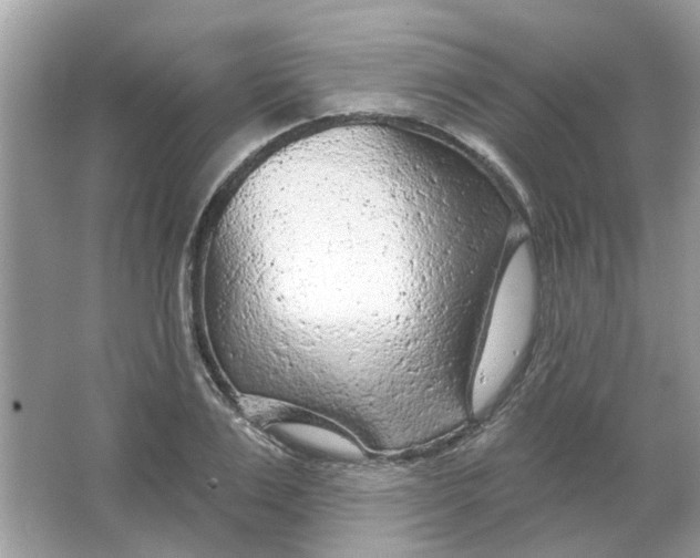 X0000065970983200603241909